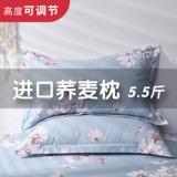 Подушка гречневой подушки установила все жесткие люди, летающий человек, провокационный 衤笄 衤笄 礻 礻 礻 礻 礻 礻 礻 礻 礻