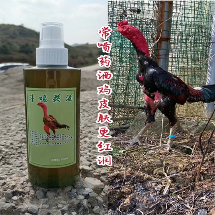 斗鸡药酒抗打药护理药非鬼子斗鸡鸟食