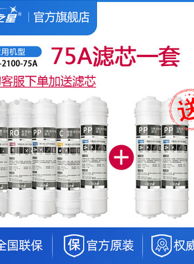 安之星净水器滤芯AZX-2100-75A反渗透RO膜后置活性炭PP棉纯水机