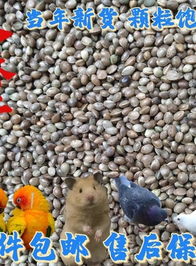 小颗粒火麻子油葵火麻仁鹦鹉鸟粮饲料仓鼠松鼠粮鸽粮鸟食产地直发