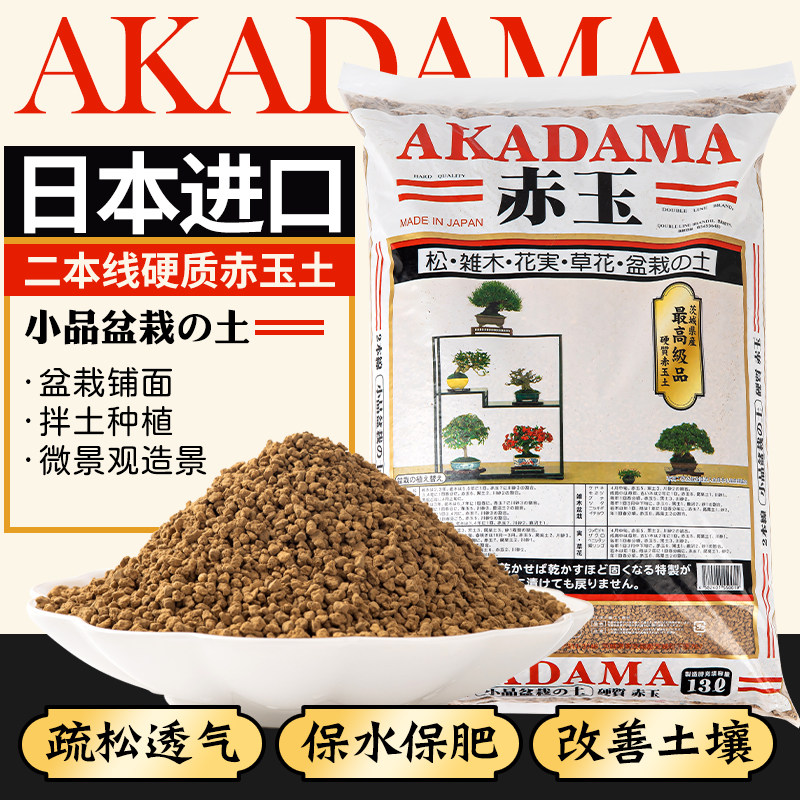 日本进口二本线赤玉土多肉盆景盆栽花卉栽培种植园艺火山土微景观