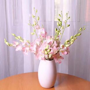 泰国洋兰鲜切花水培粉色客厅装饰办公室水养鲜花插花耐养云南直发