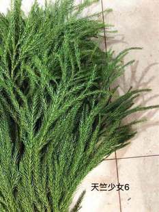 天竺少女进口国产诺贝松鲜切枝圣诞元旦节布置专用云南昆明包邮