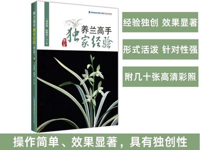 园艺兰花高手经验包邮