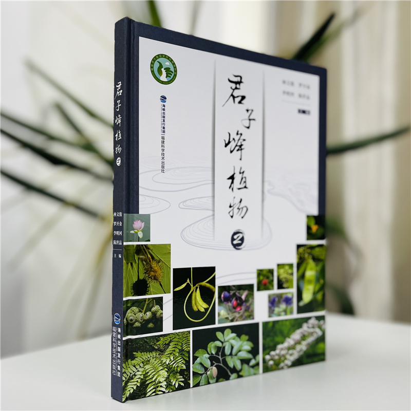 【官方旗舰店】君子峰植物2