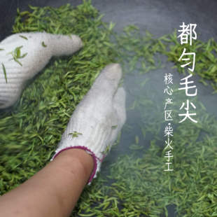 团山都匀毛尖/核心产区/柴火纯手工/本地群体小叶50g品鉴装