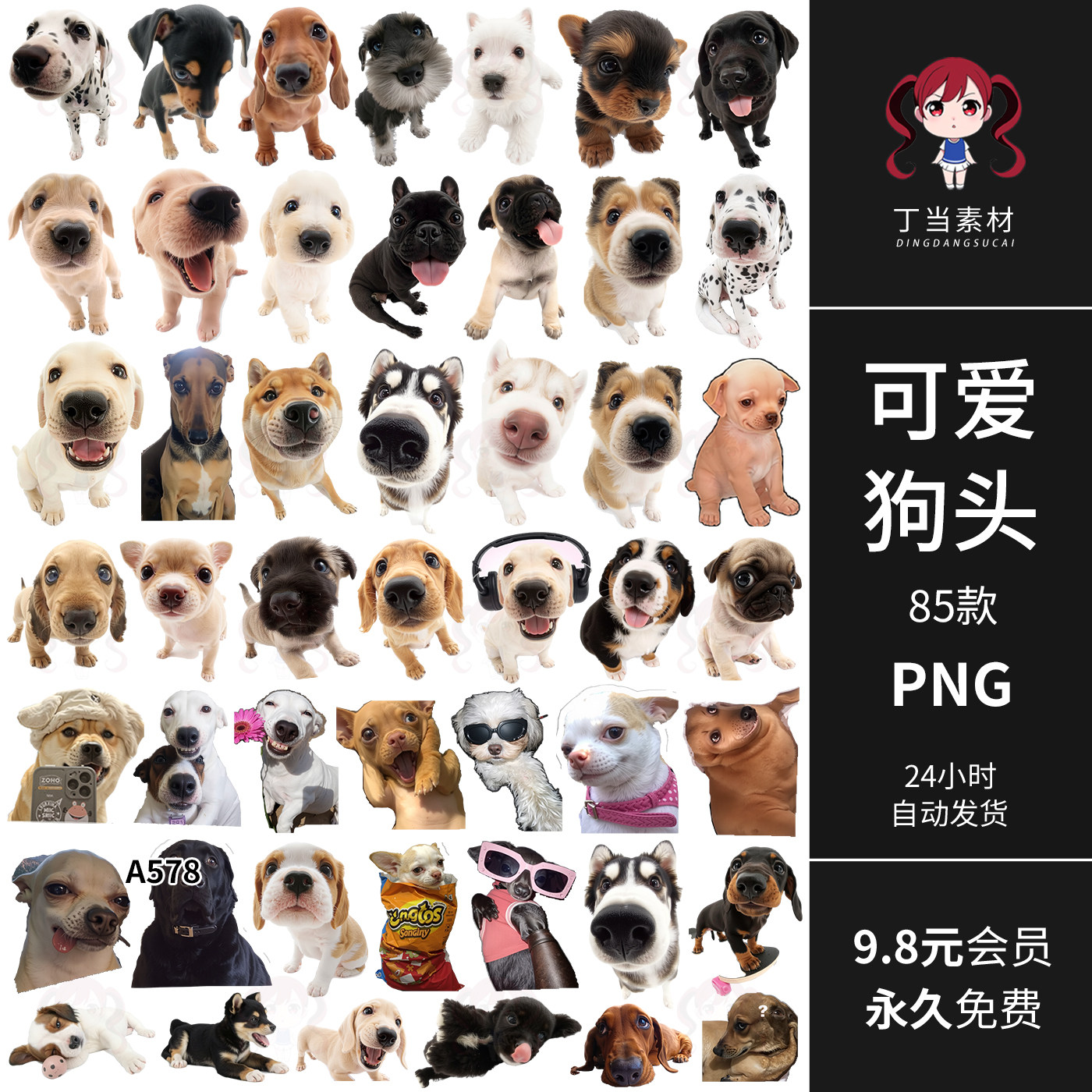 ins可爱狗头萌宠头像狗狗表情笑脸手帐贴纸PNG免抠图饭圈美工素材