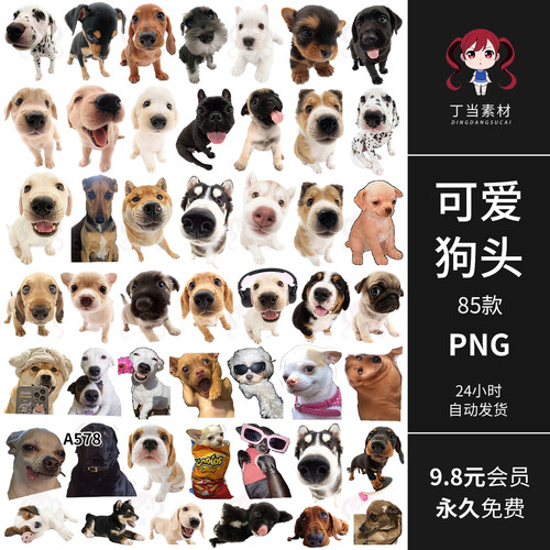 ins可爱狗头萌宠头像狗狗表情笑脸手帐贴纸PNG免抠图饭圈美工素材