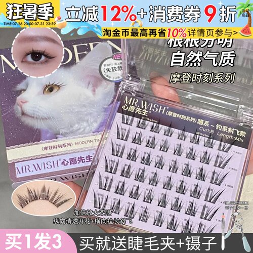 心愿先生假睫毛摩登时刻
