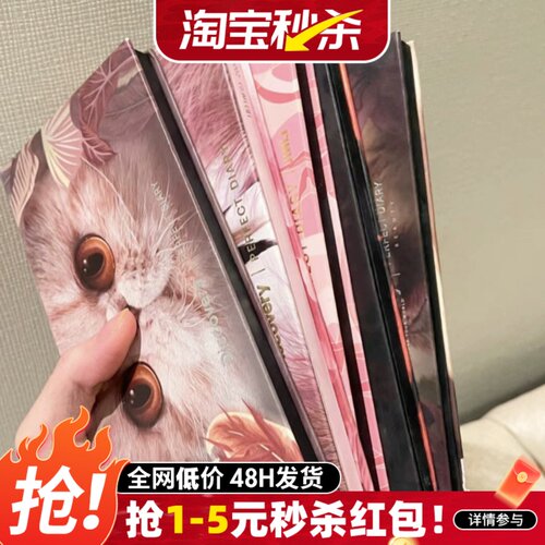 正品保障！现货秒发十二色眼影