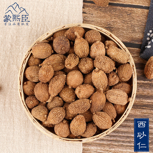 西砂仁散装广西沙仁阳春砂仁