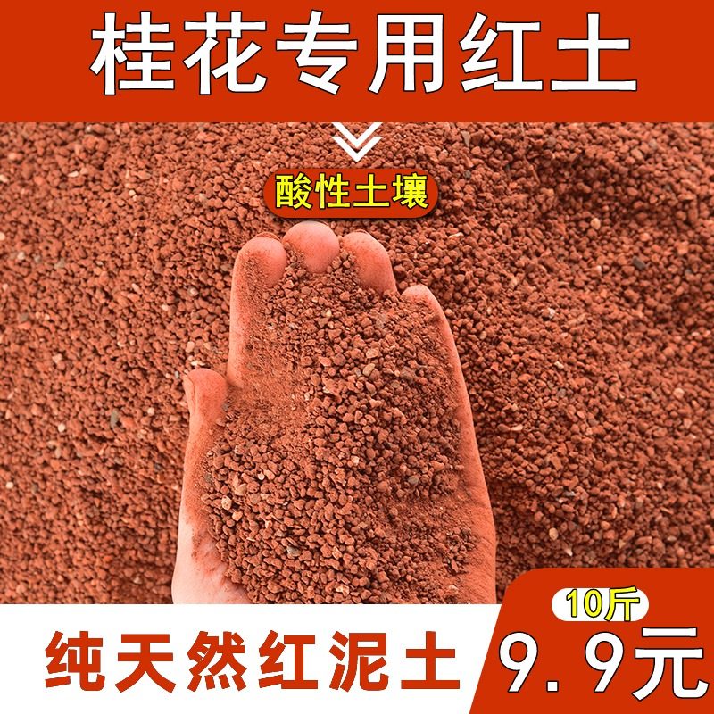 桂花专用土红土基地专用直供弱酸性盆栽盆景原生态铁元素丰富