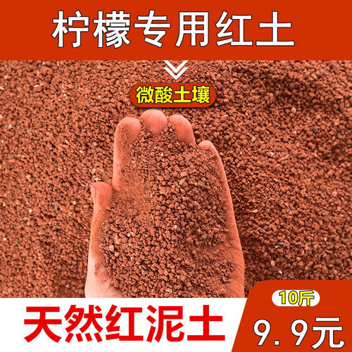柠檬专用土红土基地专用直供盆栽盆景用原生态微酸土壤铁元素丰富