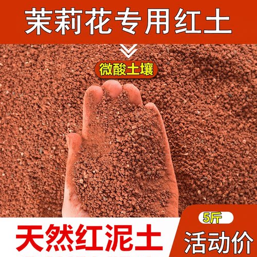 茉莉花土专用土红土微酸弱酸性基地直供铁元素丰富红泥土盆栽盆景
