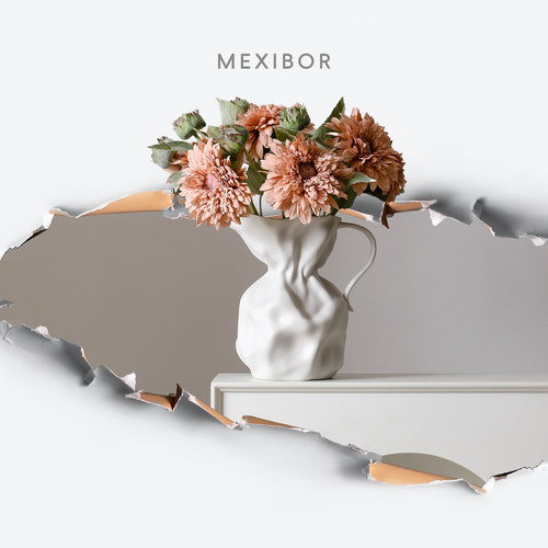 mexibor花壶瓶陶瓷可水培异型