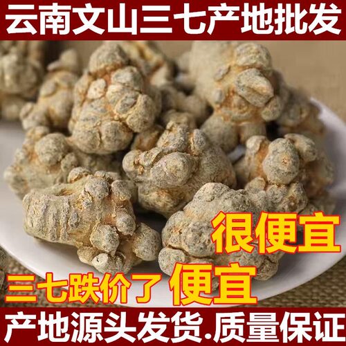 云南文山春三七无剪口20头30头