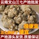 云南文山春三七无剪口20头30头40头田七500g正品 可直播磨细粉 包邮