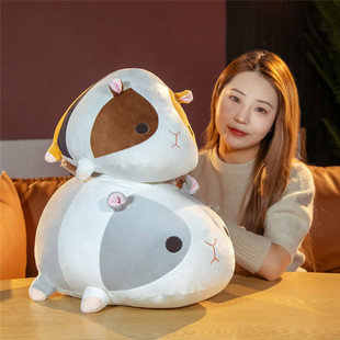 仓鼠公仔荷兰猪毛绒玩具天竺鼠玩偶豚鼠女生睡觉抱枕床上生日礼物