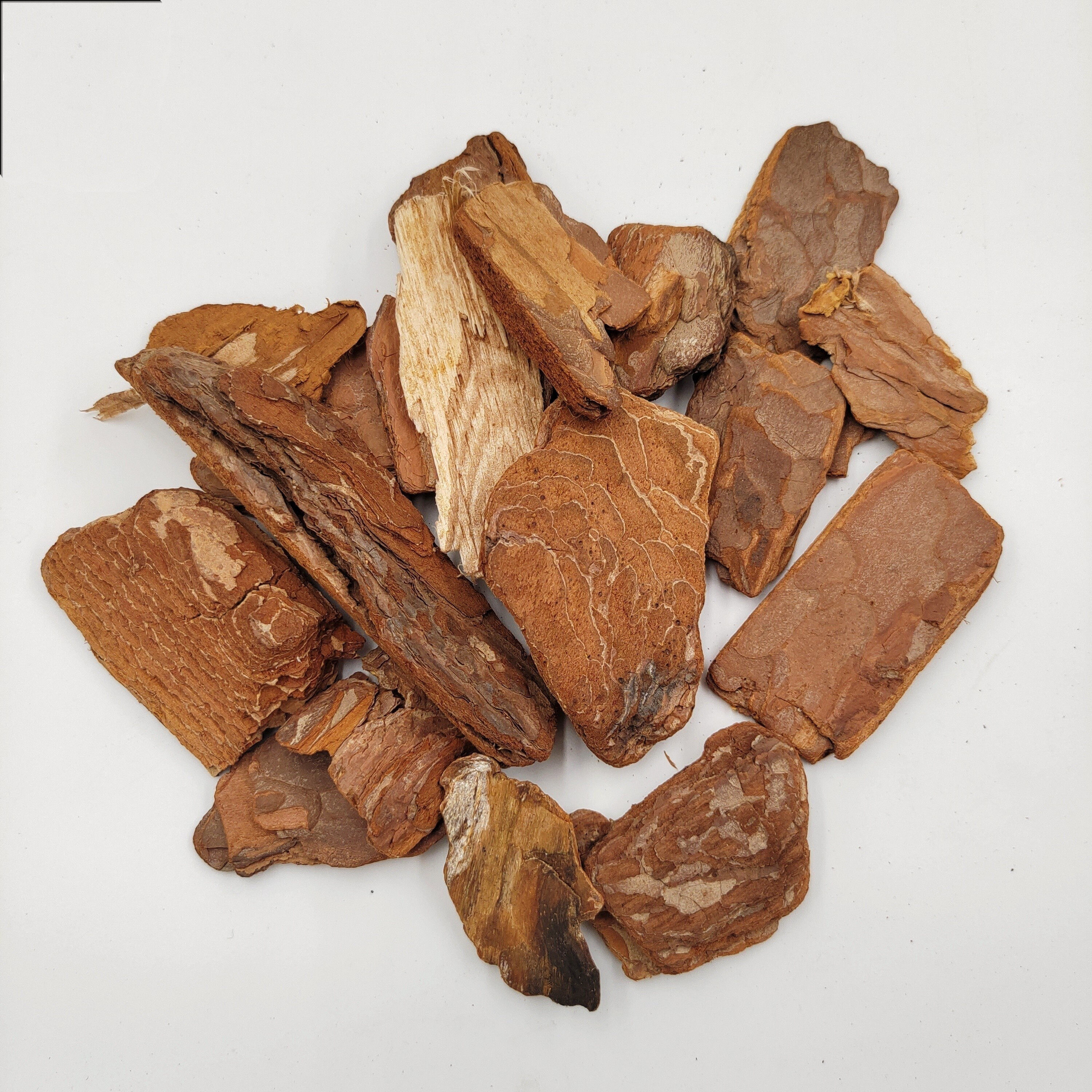 甲虫成虫攀爬物专用树皮 树栖雨林树皮树栖躲避天然造景树皮