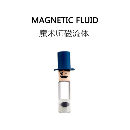 益智磁流乐趣圣诞节生日礼物玩具