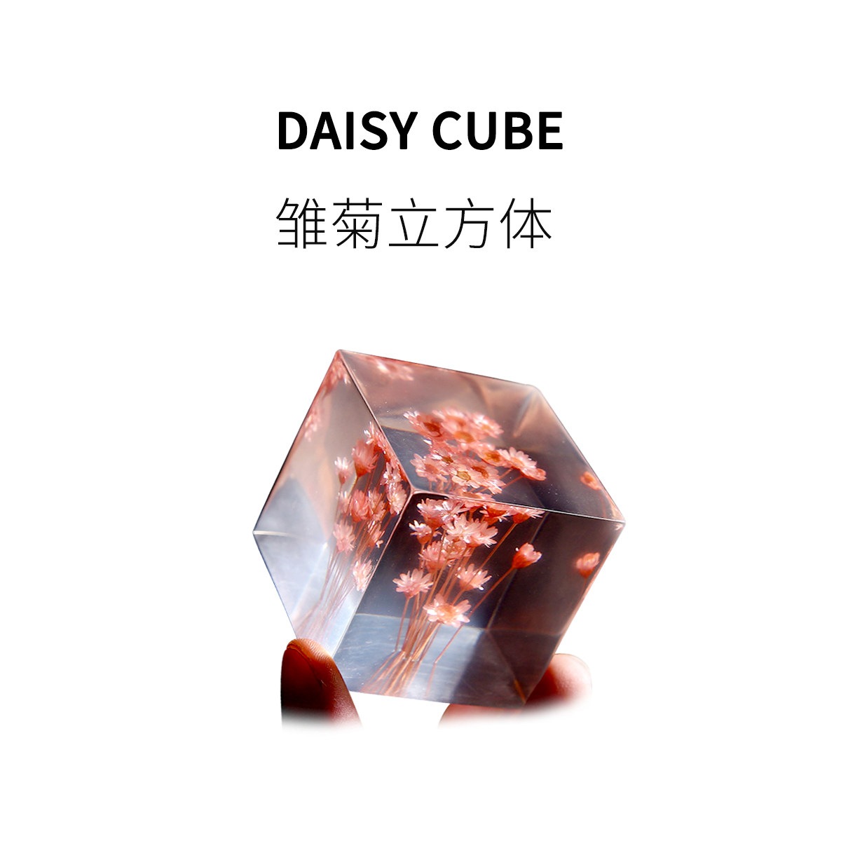 FUN HO /雏菊立方体蒲公英树脂方块有意思小玩具男女朋友生日礼物