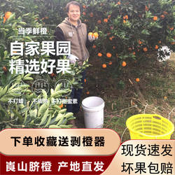 湖南新宁崀山脐橙橙子新鲜水果多汁当季脐橙孕妇5斤10斤包邮
