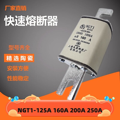飞灵快速熔断器NGT1-160A