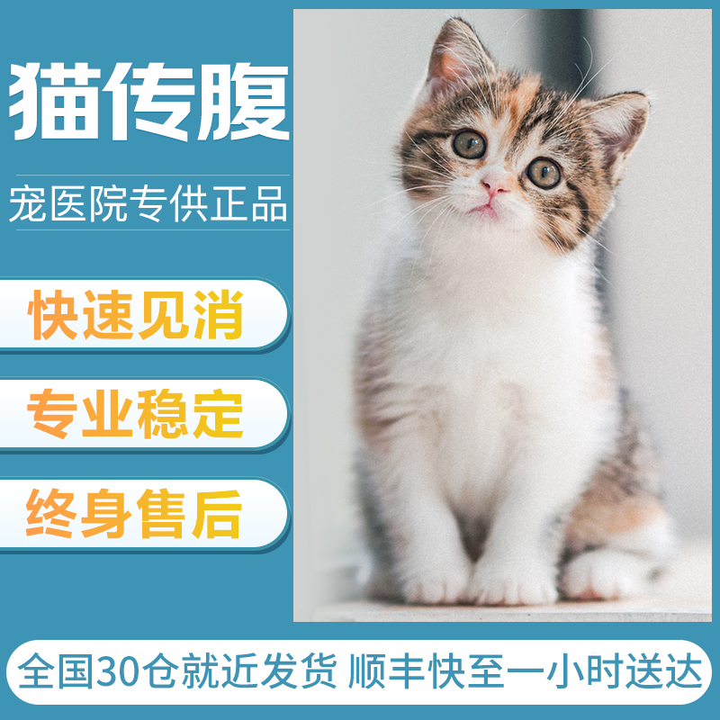 猫传腹抑制剂猫喵咪干性湿性腹膜炎fipv口服油片剂特针剂营养液