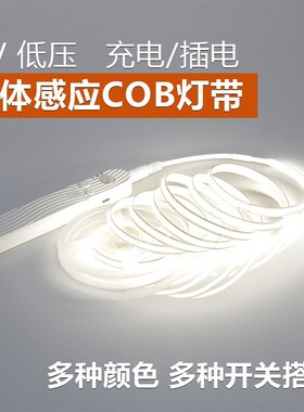 智能人体感应灯带USB充电池衣橱鞋柜玄关走廊防水5V低压COB软灯条