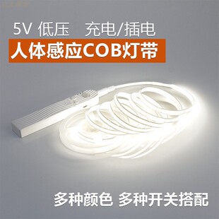 柜玄关走廊防水5V低压COB软灯条 智能人体感应灯带USB充电池衣橱鞋