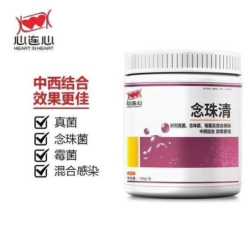 心连心鸽药念珠清中西结合清理毛滴虫白点口黄净念珠菌呼吸不畅