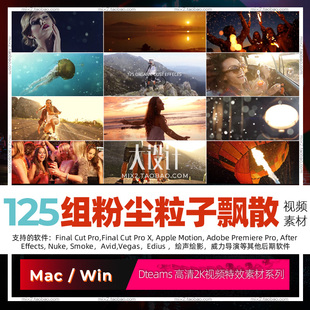 FCPX特效插件飘舞粉尘粒子视频特效Vlog素材AE/Pr/Ed/ 会声会影