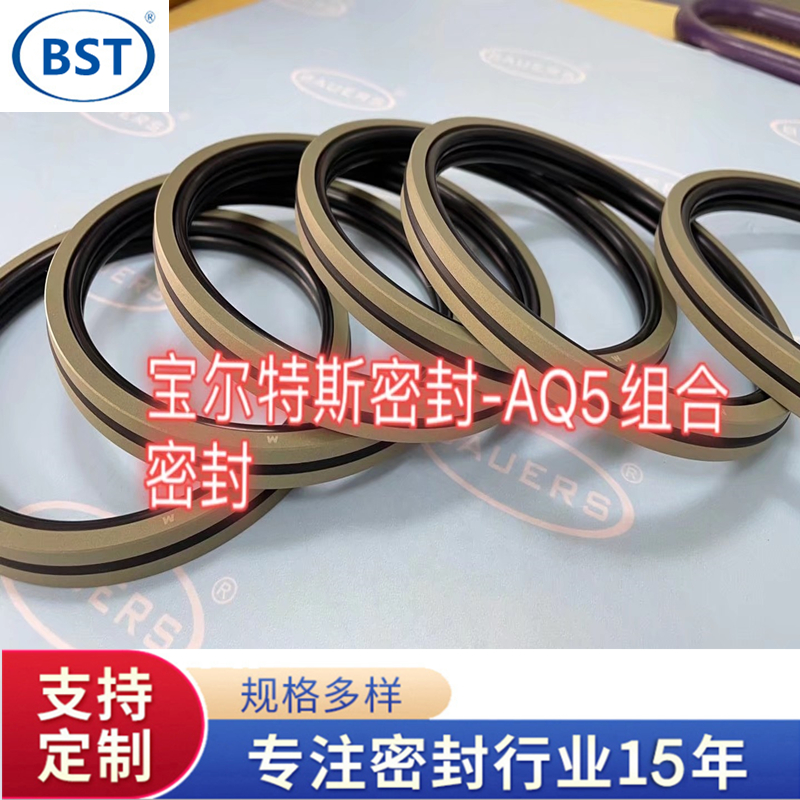 液压油缸油封活塞 密封圈 格莱圈 AQ5密封圈 双向往复密封圈 填充