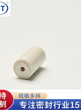 赛默飞离子色谱单向阀阀芯045994单向入口阀阀芯ICS900/600/1000