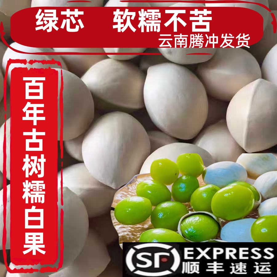 2025年云南腾冲银杏村糯白果绿芯古树新鲜银杏果日料烧鸟果仁干果