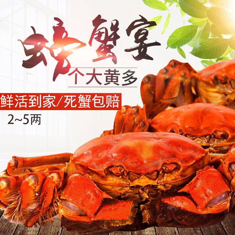 鲜活螃蟹 湖北大冶黄金湖大闸蟹 顺丰空运包邮 死蟹包赔3母 3.5公