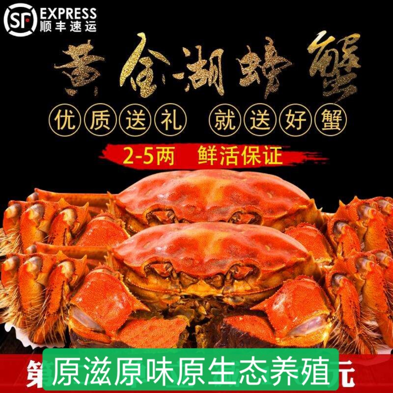 黄石螃蟹 顺丰空运包邮包活到手送货入户大冶黄金湖大闸蟹全3.5公
