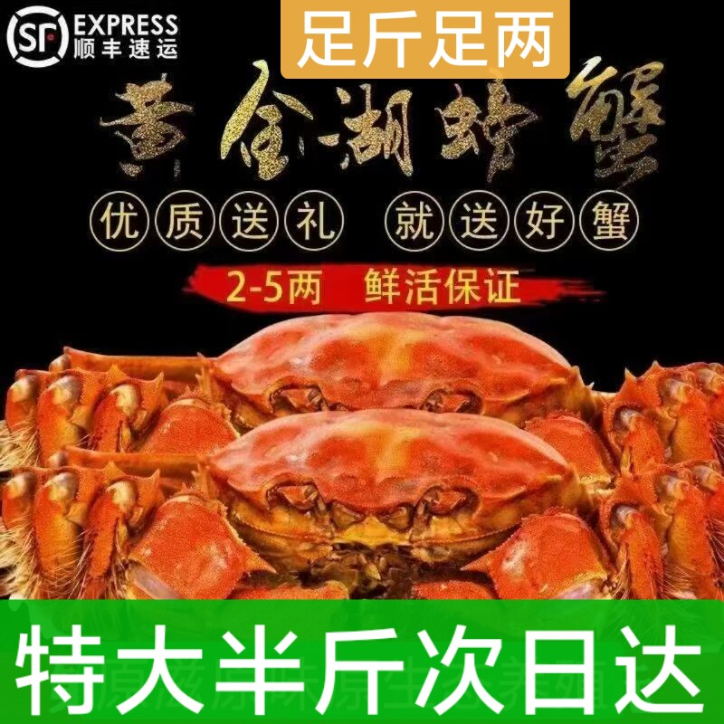 掌柜推荐3.5母4公味道鲜甜鲜活螃蟹黄金湖大闸蟹顺丰包邮死蟹包赔