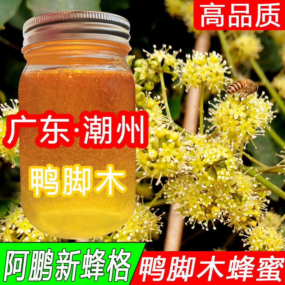 广东新鸭脚木冬蜜野生鹅掌柴结晶蜜农家自产纯正天然成熟土中蜂蜜