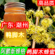 广东新鸭脚木冬蜜野生鹅掌柴结晶蜜农家自产纯正天然成熟土中蜂蜜