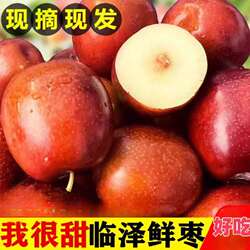 正宗甘肃临泽小枣鲜枣红枣现摘现发当季水果整箱红鲜红枣7斤