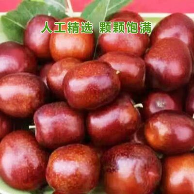 甘肃临泽小枣新鲜脆甜7斤