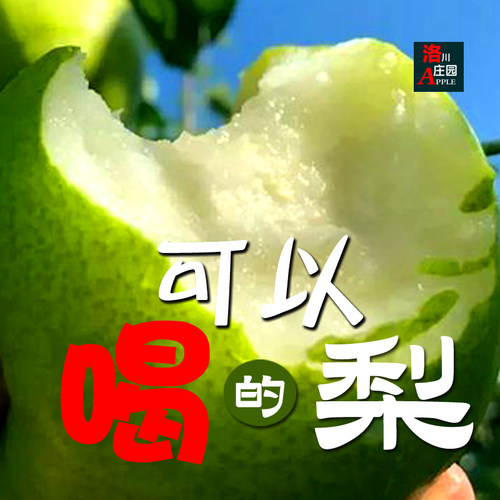 今年更甜+黄陵翡翠梨+咬一口沦陷