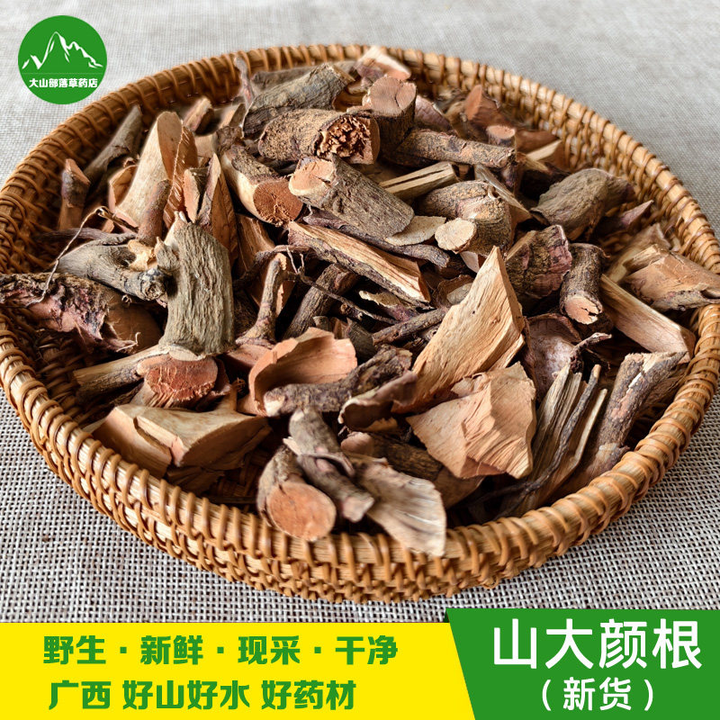 新晒山大颜 九节木 大罗伞 山大刀火筒树中药材干货纯根 山大颜根