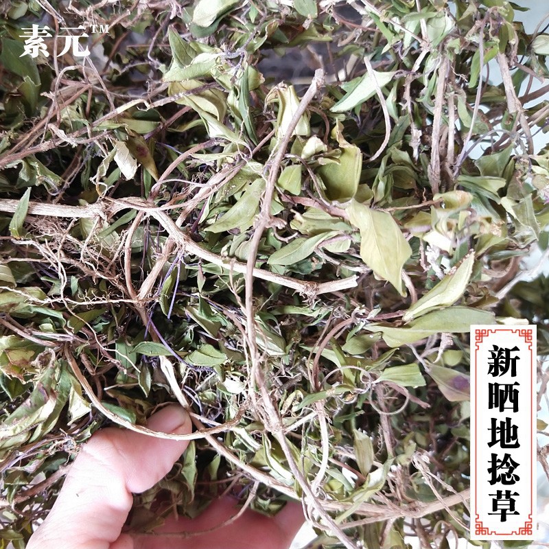 新晒地菍草地稔根中药材地捻草整棵铺地捻新鲜铺地锦500g包邮