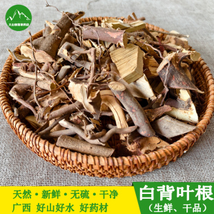 野生白背叶根 广西山货白小娘根白膜根帽顶树白朴根中药材白背根
