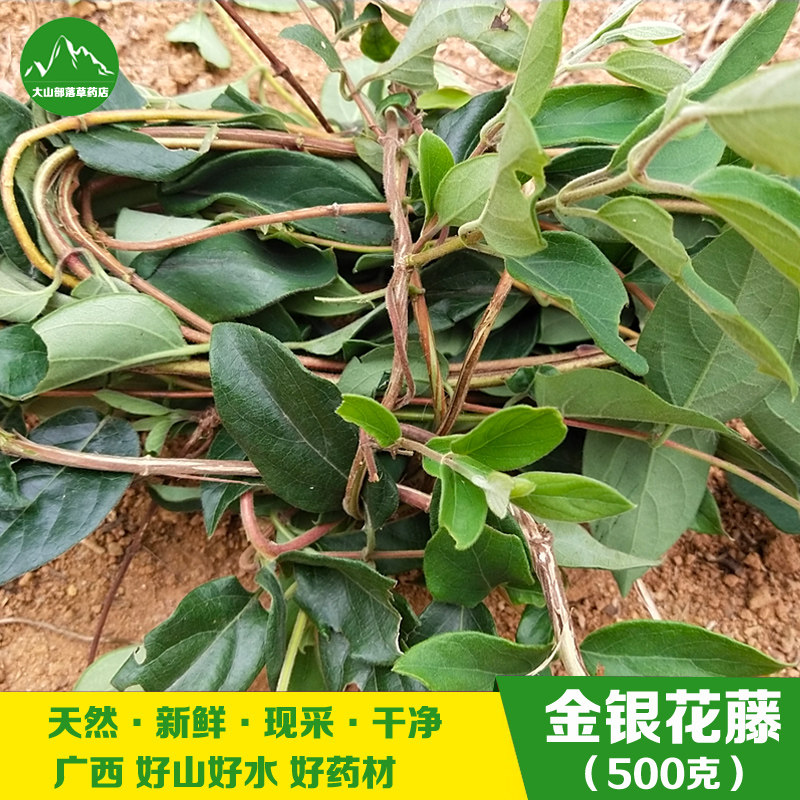现采新鲜金银花藤 宝宝婴儿泡澡天然忍冬藤清热去痱子中草药 包邮
