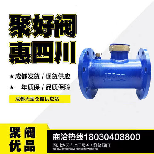 机械水平螺翼式旋翼式数字指针DN