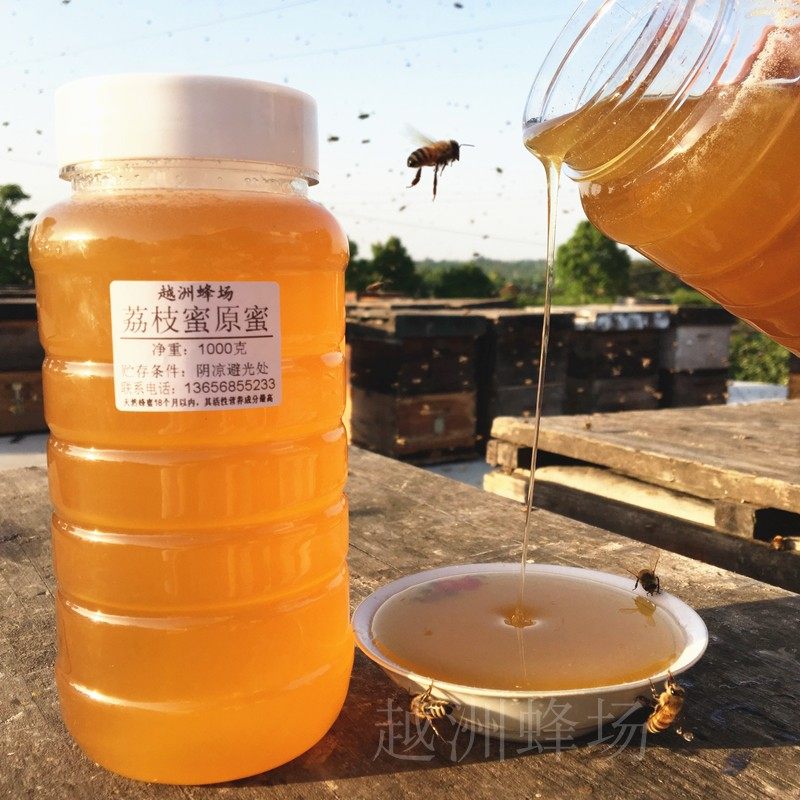 越洲蜂场  2026年新鲜荔枝蜜原蜜1000g农家自产野生土蜂蜜2斤包邮