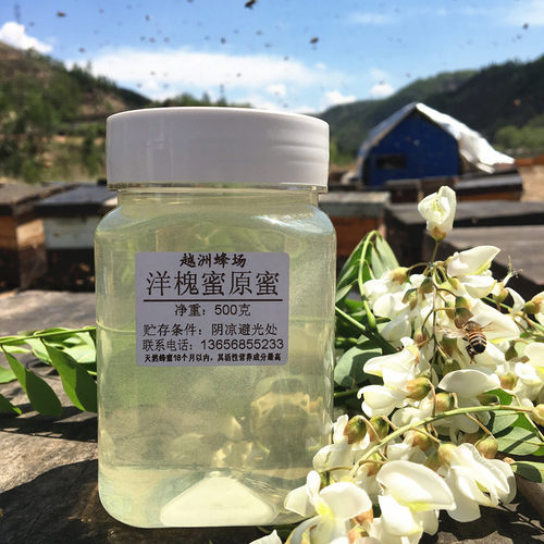 越洲蜂场 2025新鲜洋槐蜜原蜜500g农家自产蜂蜜1斤全店满80元包邮